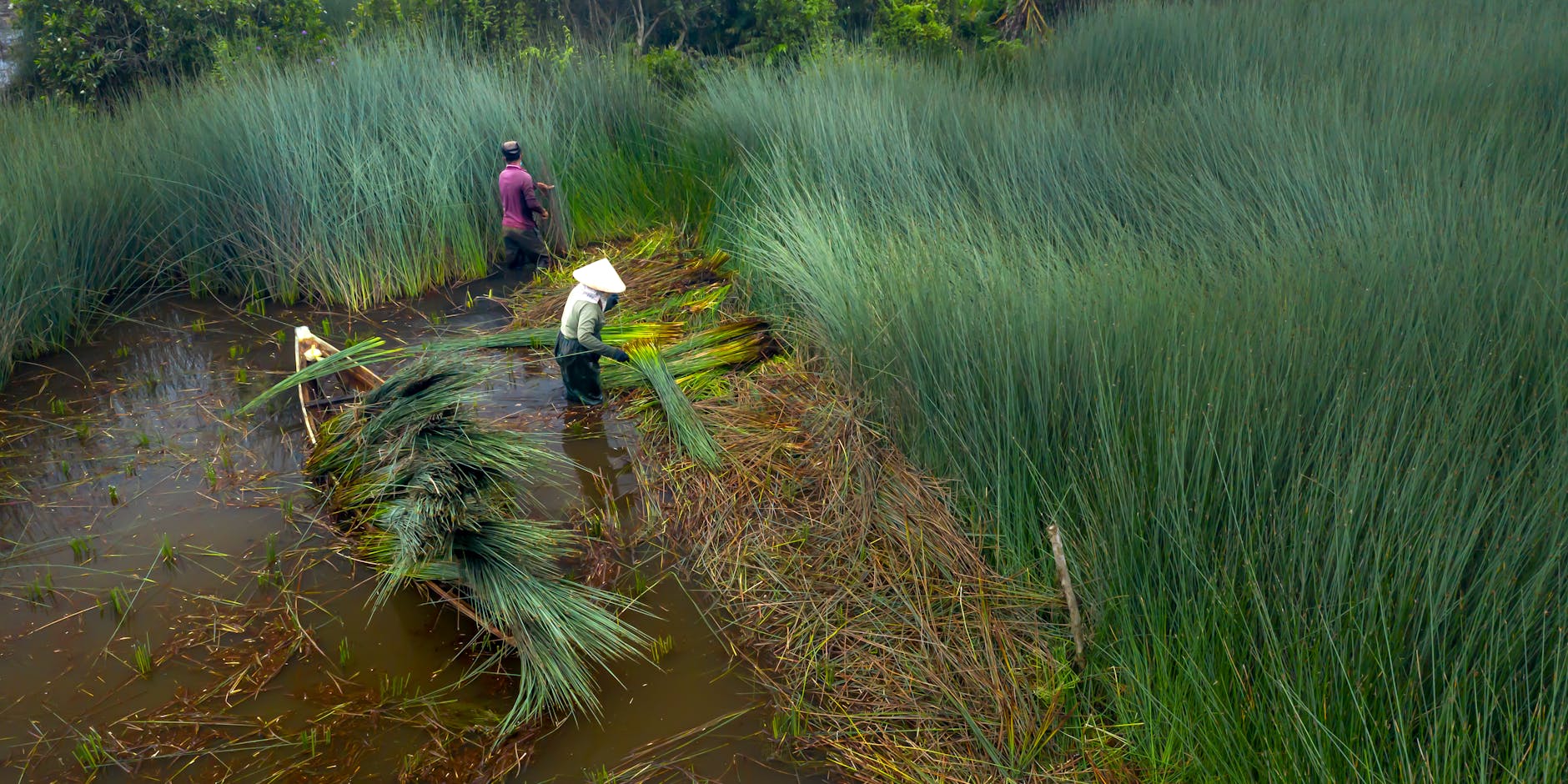 Revolutionizing Water Management with SmartWaterTech